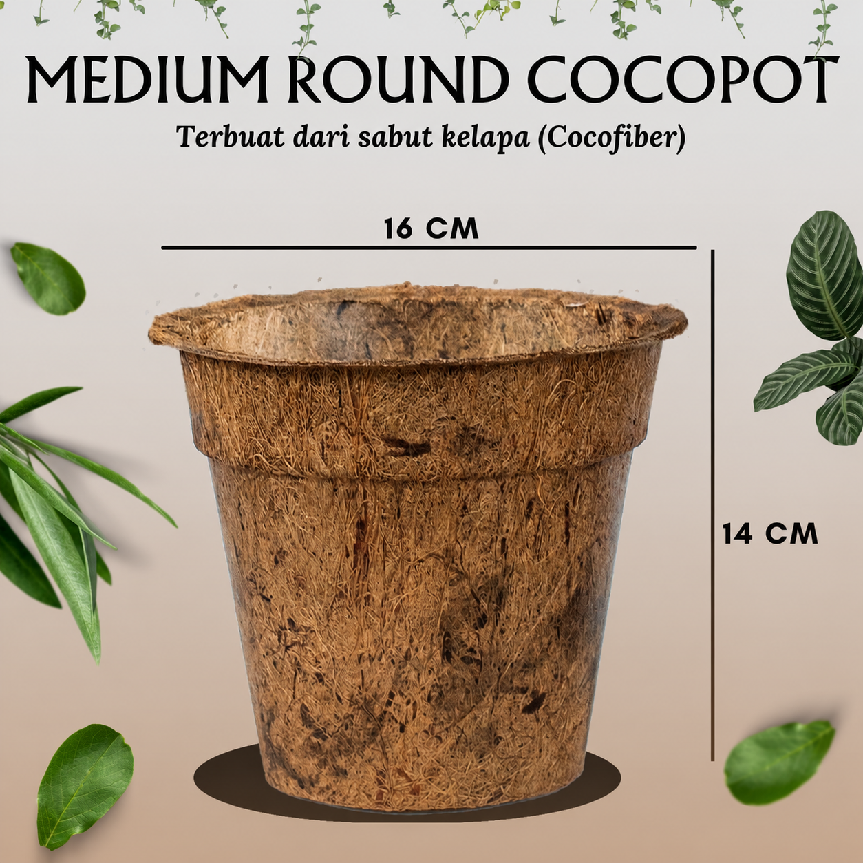 Medium round cocopot technical product reference image